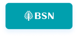 BSN - Asia Banks
